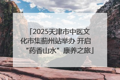 2025天津市中医文化市集蓟州站举办 开启“药香山水”康养之旅