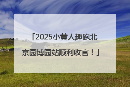 2025小黄人趣跑北京园博园站顺利收官！