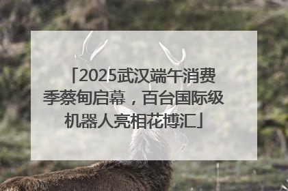2025武汉端午消费季蔡甸启幕，百台国际级机器人亮相花博汇