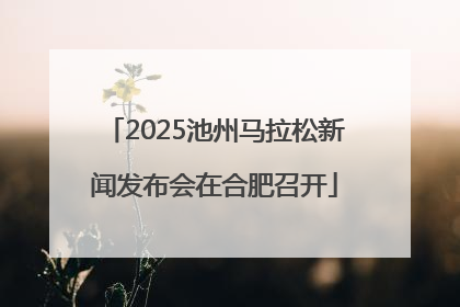 2025池州马拉松新闻发布会在合肥召开