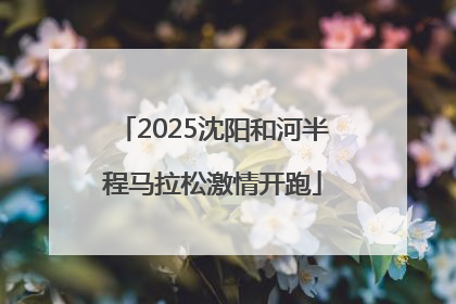 2025沈阳和河半程马拉松激情开跑