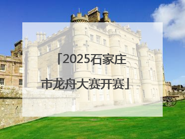 2025石家庄市龙舟大赛开赛