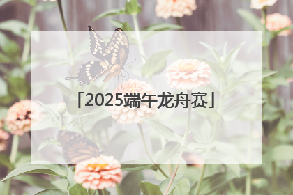 2025端午龙舟赛