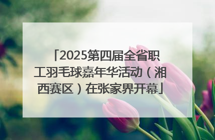 2025第四届全省职工羽毛球嘉年华活动（湘西赛区）在张家界开幕