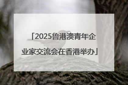 2025鲁港澳青年企业家交流会在香港举办