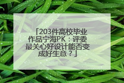 203件高校毕业作品宁海PK：评委最关心好设计能否变成好生意？