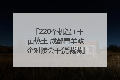 220个机遇+千亩热土 成都青羊政企对接会干货满满