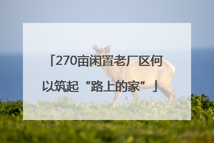 270亩闲置老厂区何以筑起“路上的家”