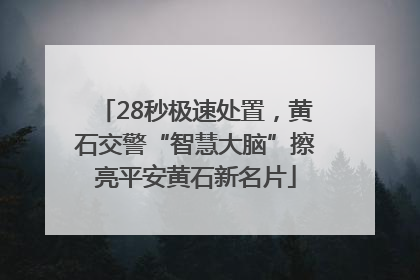 28秒极速处置，黄石交警“智慧大脑”擦亮平安黄石新名片