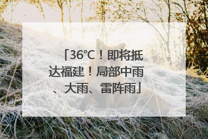 36℃！即将抵达福建！局部中雨、大雨、雷阵雨