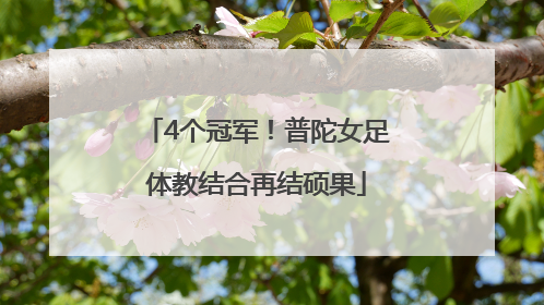 4个冠军！普陀女足体教结合再结硕果