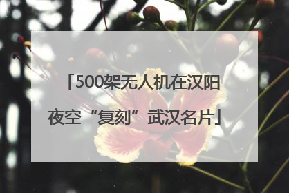 500架无人机在汉阳夜空“复刻”武汉名片