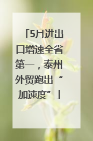 5月进出口增速全省第一，泰州外贸跑出“加速度”