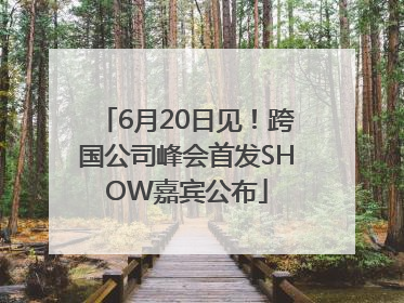6月20日见！跨国公司峰会首发SHOW嘉宾公布