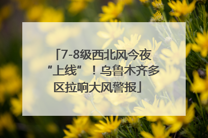 7-8级西北风今夜“上线”！乌鲁木齐多区拉响大风警报