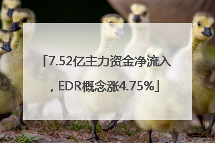 7.52亿主力资金净流入，EDR概念涨4.75%