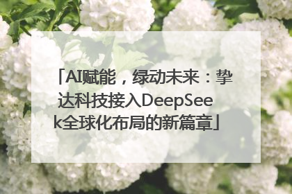 AI赋能，绿动未来：挚达科技接入DeepSeek全球化布局的新篇章