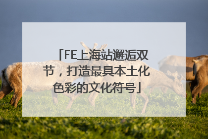 FE上海站邂逅双节，打造最具本土化色彩的文化符号