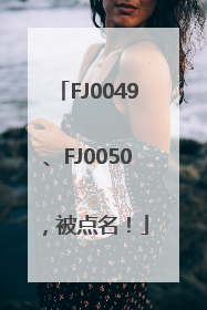FJ0049、FJ0050，被点名！